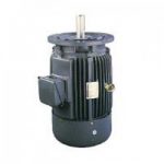 INDUCTION MOTOR LIMING