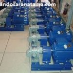 GEARPUMP ORIENTAL KOSHIN