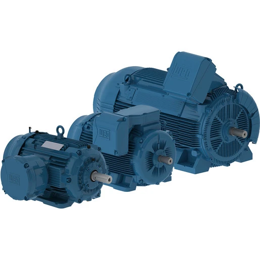 WEG ELECTRIC MOTOR AND GEARBOX