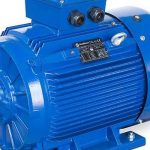 MARELLI MOTORI ELECTRIC