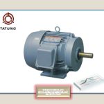 TATUNG ELECTRIC MOTOR