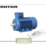 ROTOR ELECTRIC MOTOR