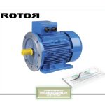 Inductionmotor ROTOR Y3 Series